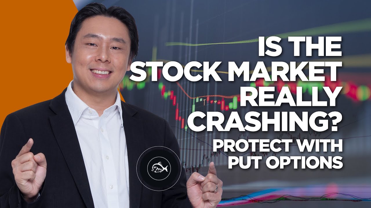 Is the Stock Market Really Crashing? Protect with Put Options!