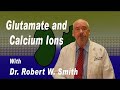 Dr robert w smith and glutamate issues