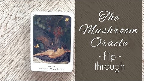 The Mushroom Oracle by Broccoli Magazine (full flip-through)