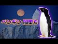 生き残るためにド畜生な作戦を思いついたペンギン