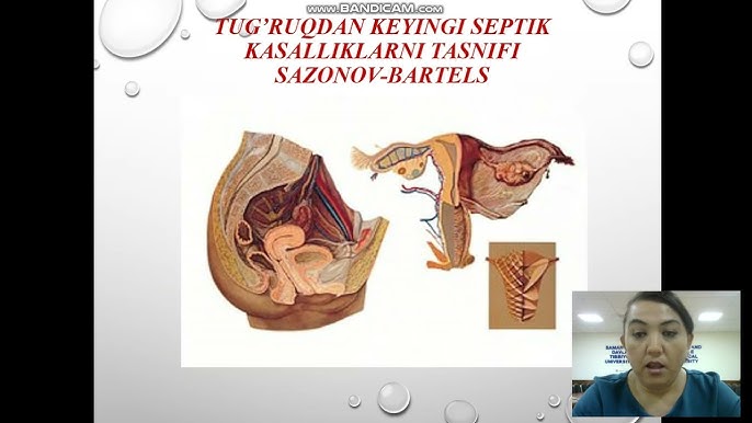 Katta kokrak bilan nudistlar video