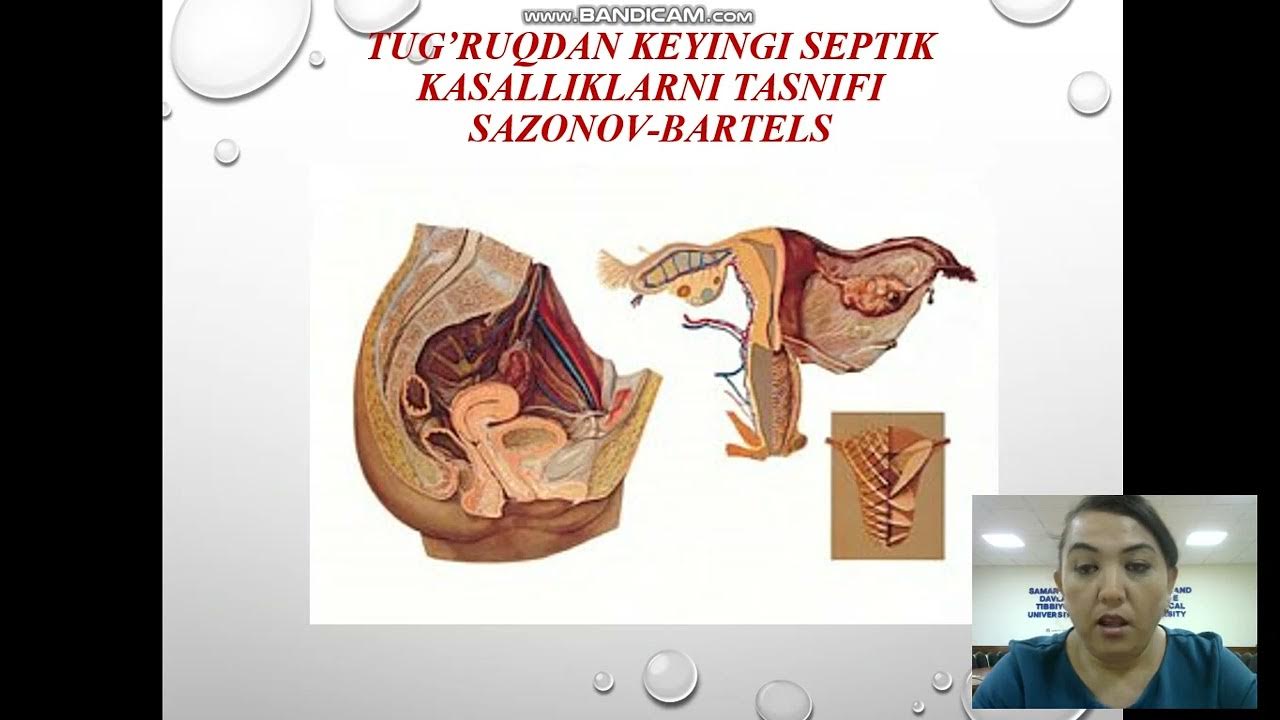 Xxx Android anatomiyasi Xxx Android anatomiyasi