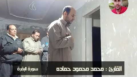 ان الصفا والمروة من شعائر الله للقارئ محمد محمود حماده من صلاة التراويح رمضان 2020 / 1441