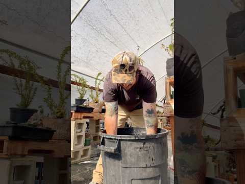 Succulent tip of the day #cactusquest #questceramics