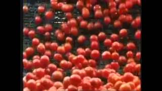 Woolworths Australia Tv Ad 2