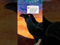 #fyp #animation #medieval #darkfantasy #crow #art #retro #darkart
