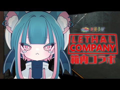 【リーサルカンパニー】箱コラボ！【まほろば】