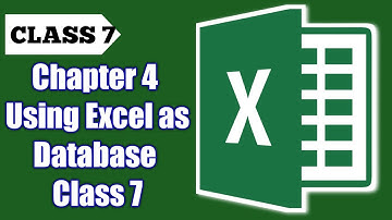 Chapter 4 Using Excel as Database Class 7 | using excel as database