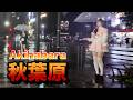 nightwalk in Akihabara【夜の秋葉原をお散歩】2026年6月26日