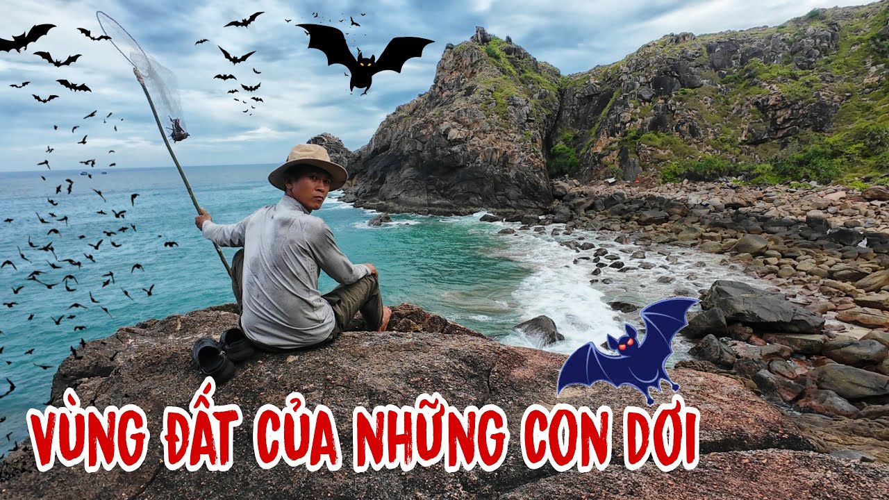 Kinh hoàng phát hiện đàn dơi nhiều chưa từng thấy | Đột nhập nơi ở của hàng triệu con dơi