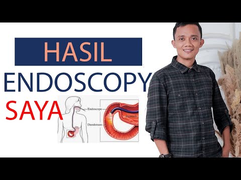 Video Era Endoscopy S.R.L. Peccioli