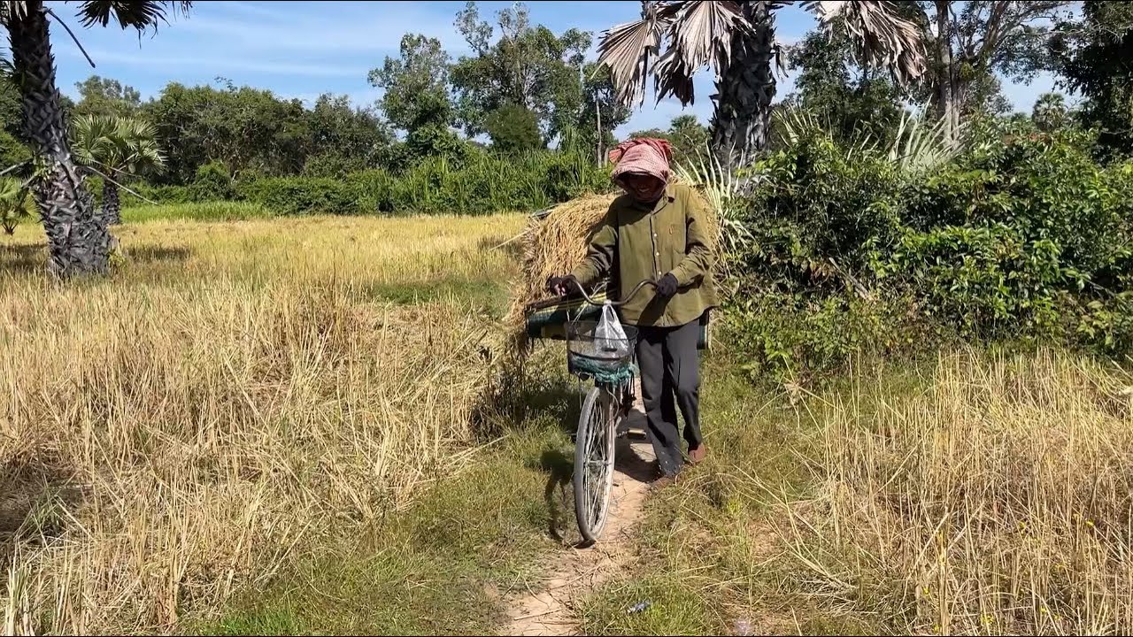 Daily Life and Popular Food at PREAH DAK Village in Siem Reap Province, Cambodia