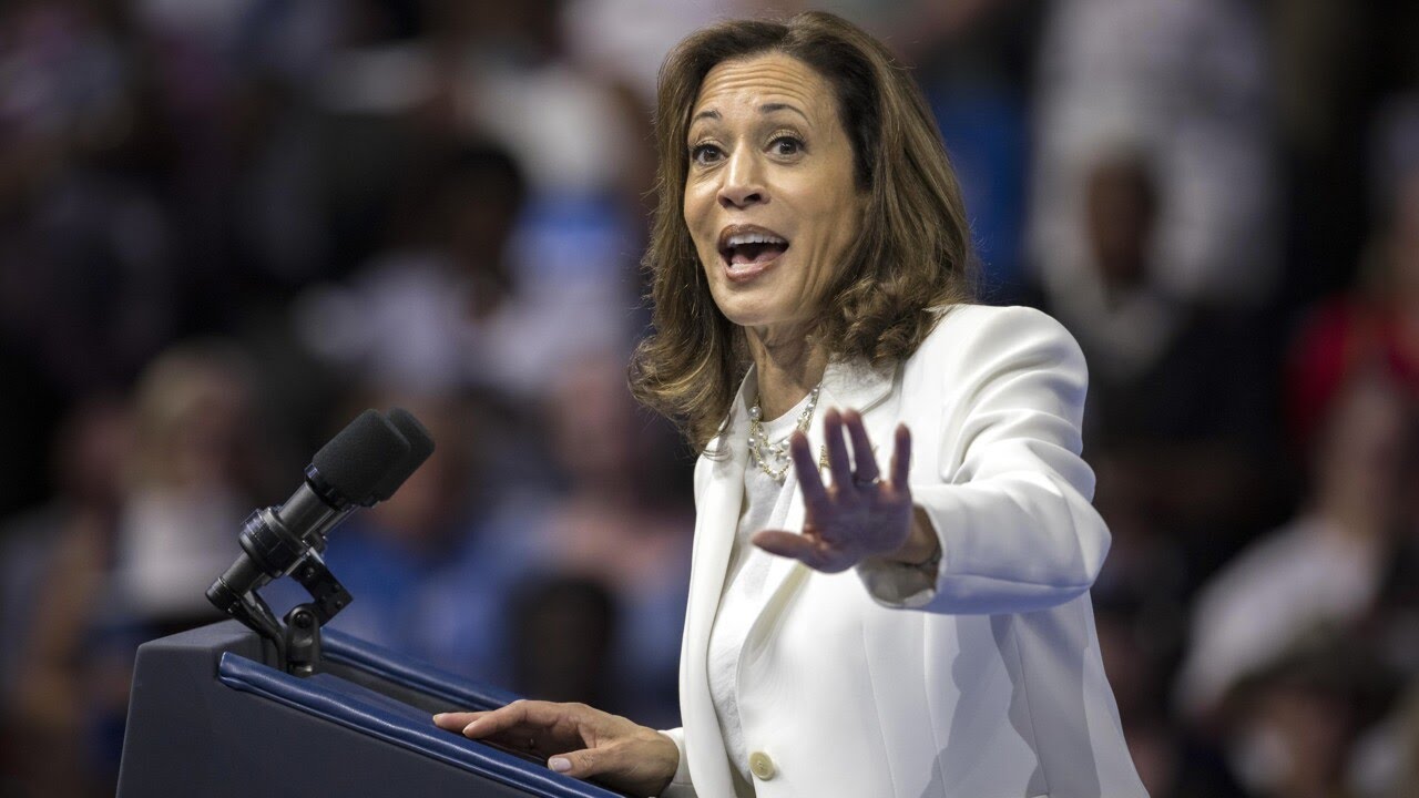 Gold Star families blast Harris for 'playing politics' over Trump's visit to Arlington