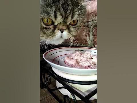 нями нями😋 - YouTube