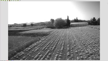 Crop Row following by UAV