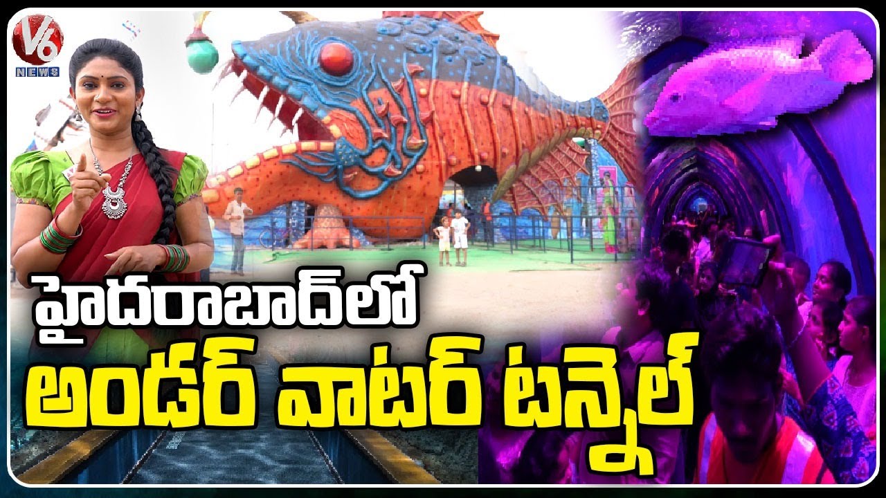 Underwater Fish Tunnel Aquarium In Hyderabad Kukatpally V6 News