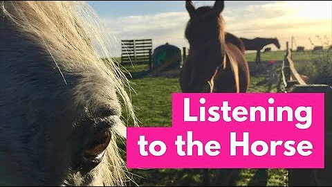 Listening to the Horse Documentary -  Full Length ...