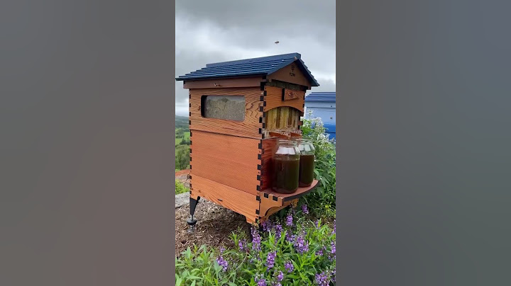Flow Office honey harvest  🐝🍯