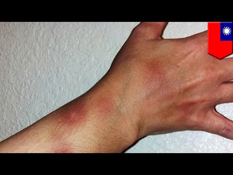 Crazy mother slashes son’s scooter after an argument with roommate, son kills roommate - TomoNews