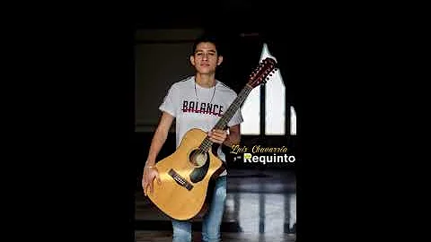 El Chuyin De Teca - Luis Chavarria
