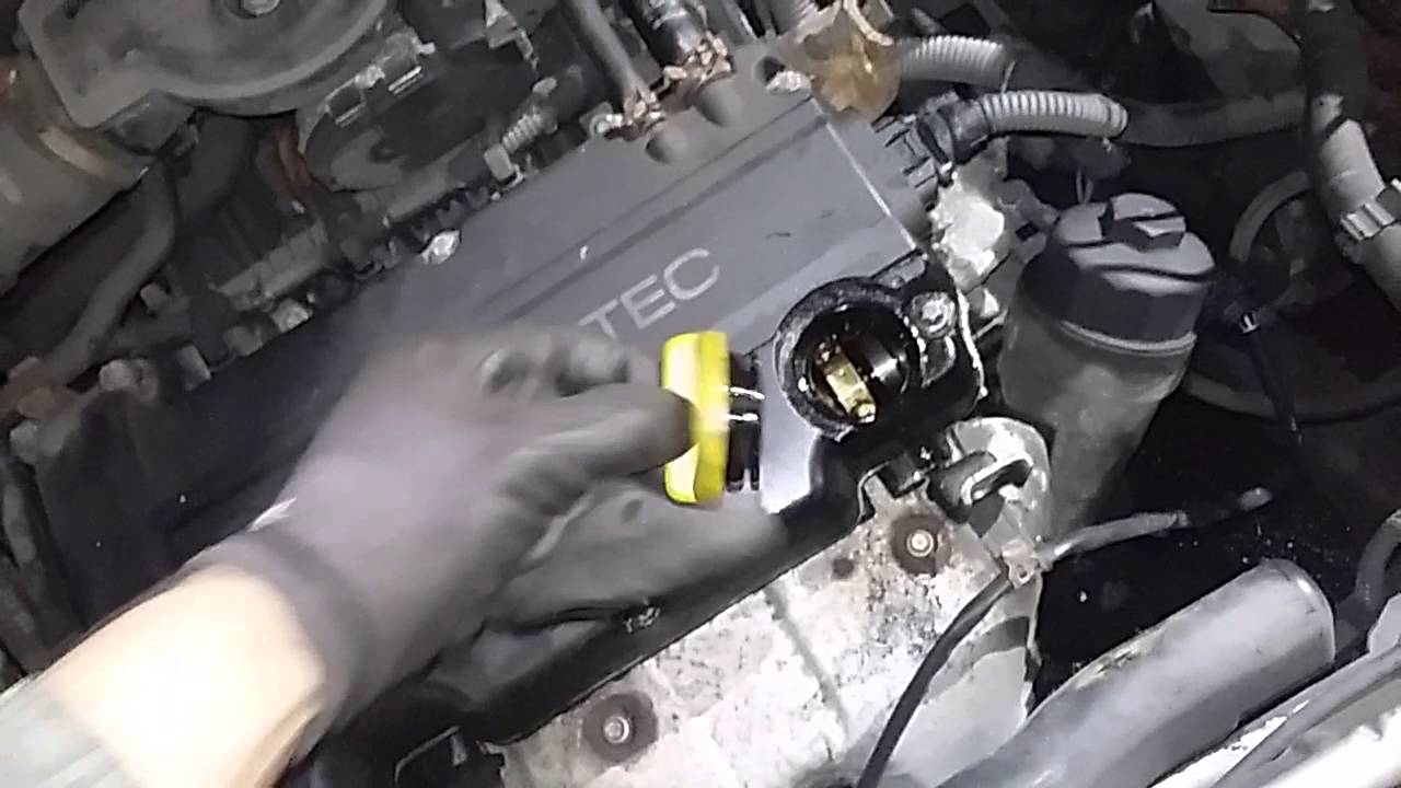 Контрактный двигатель Opel (Опель) 1.2 Z12XE | Где купить? | Тест мотора Контрактный двигатель Opel (Опель) 1.2 Z12XE | Где купить? | Тест мотора
