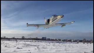 L-39 Albatros extremely low pass
