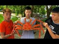 Cương Xấu | Lần Đầu Ăn Cua Hoàng Đế | King Crab