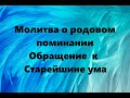 ОБРАЩЕНИЕ К СТАРЕЙШИНЕ УМА. МОЛИТВА О РОДОВОМ ПОМИНАНИИ #НаянаБелосвет