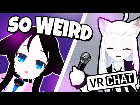 vr chat is so weird...