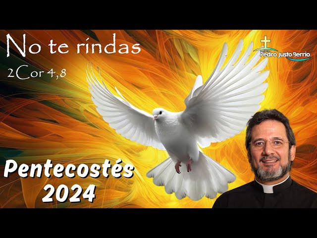 No te rindas | Pentecostés 2024 | Mayo 16 de 2024 | Padre Pedro Justo Berrío #padrepedrojustoberrío class=