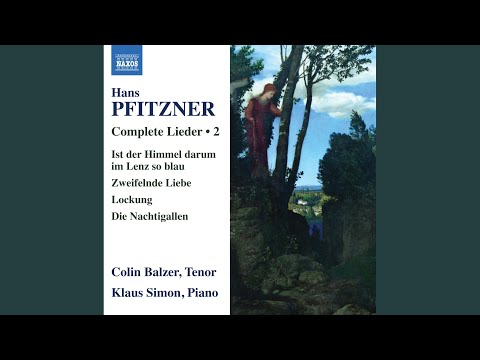 No. 2, Nachtwanderer