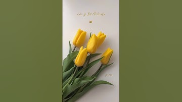 #القارئ #اسلام_صبحي 💛. #quran#islam#islamic💛