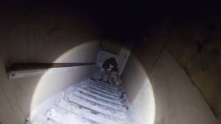 Download Lagu 5 Most Terrifying Abandoned Building Discoveries MP3