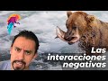 Las interacciones ecológicas negativas (Primera parte)