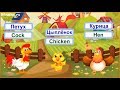 Домашние птицы для детей на английском языке - Видео-тренажер