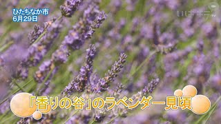 メインサムネイル