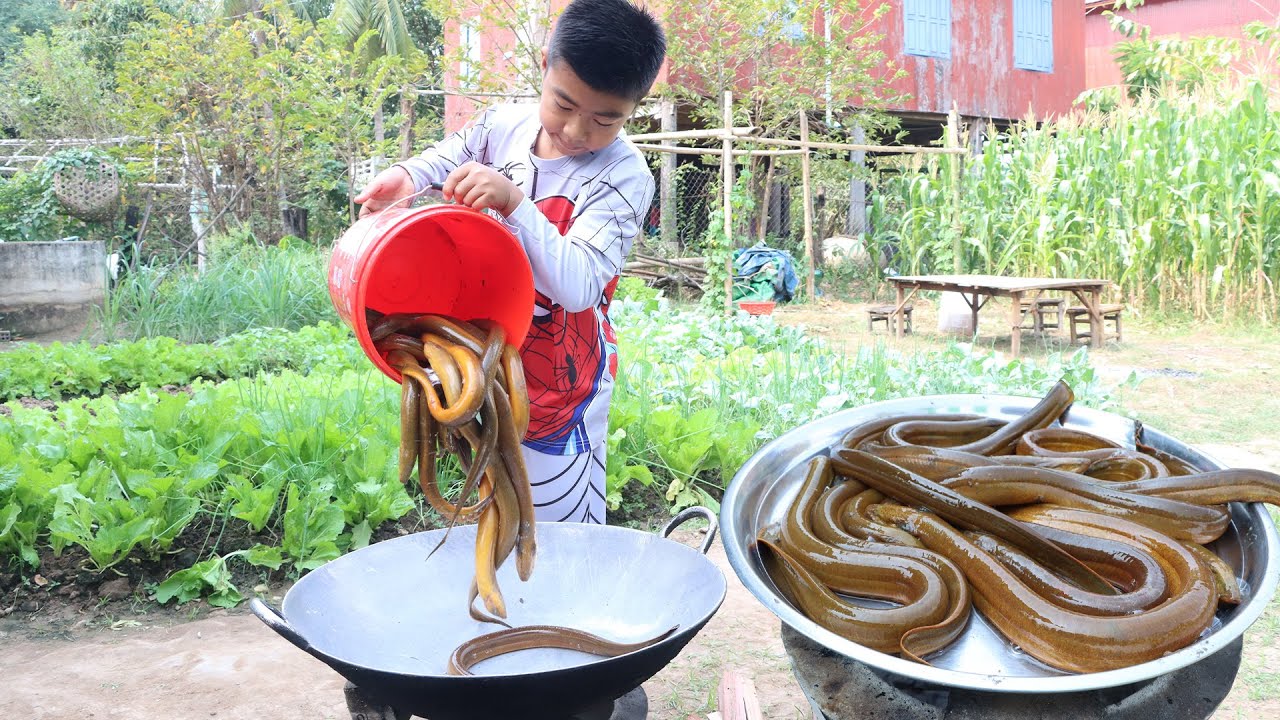 Smart boy Seyhak cook Eel fish with homestyle | Eel fish recipe | Chef Seyhak