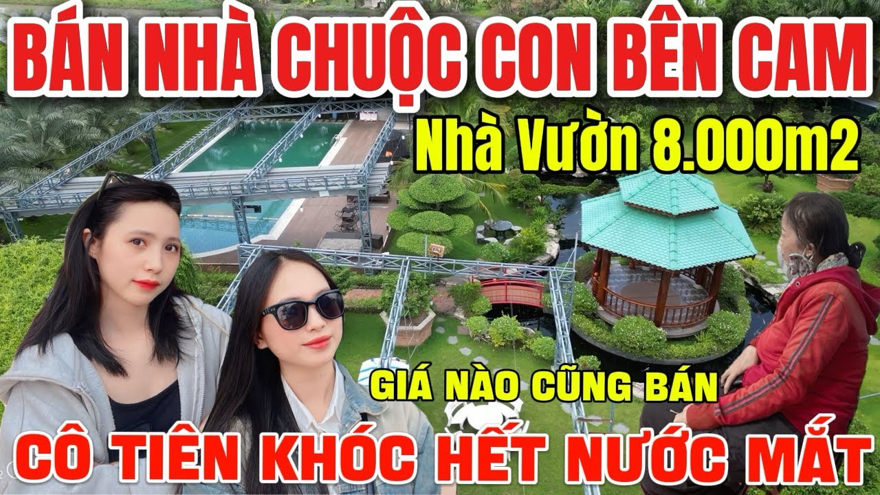Tập 226 Bán Nhà Vườn Bình Chánh 8.000m2 Chuộc Con Bên Cam về Giảm 1 Tỷ Giá Nào Cô Cũng Bán ✅
