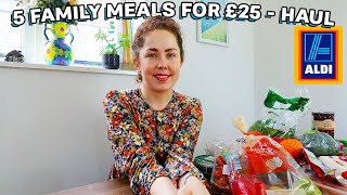 5 WEEKDAY MEALS FROM ALDI FOR UNDER £25 HAUL WITH PRICES | 20 Meals For Under £25 |Easy Budget Meals