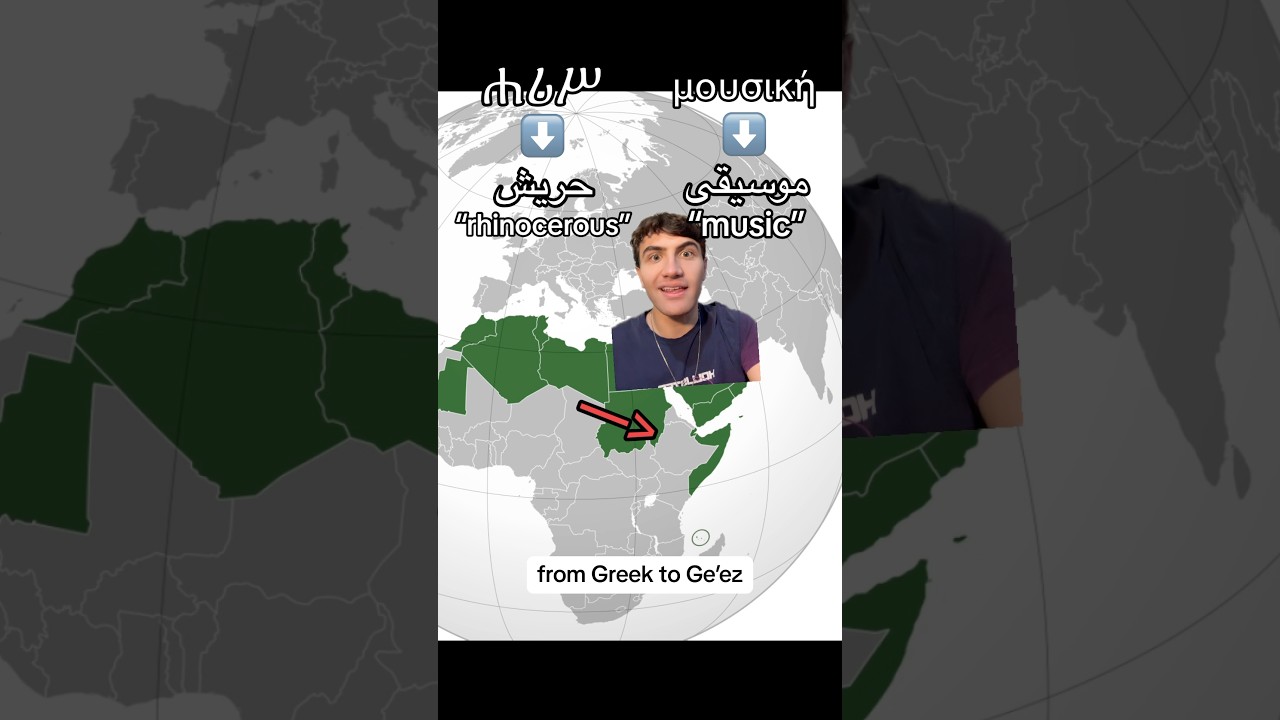 Арабские слова со всего мира! 