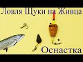 Ловля Щуки на Живца | Живцовая удочка на Щуку | Изготовление снаcти | Снасть для ловли щуки на живца