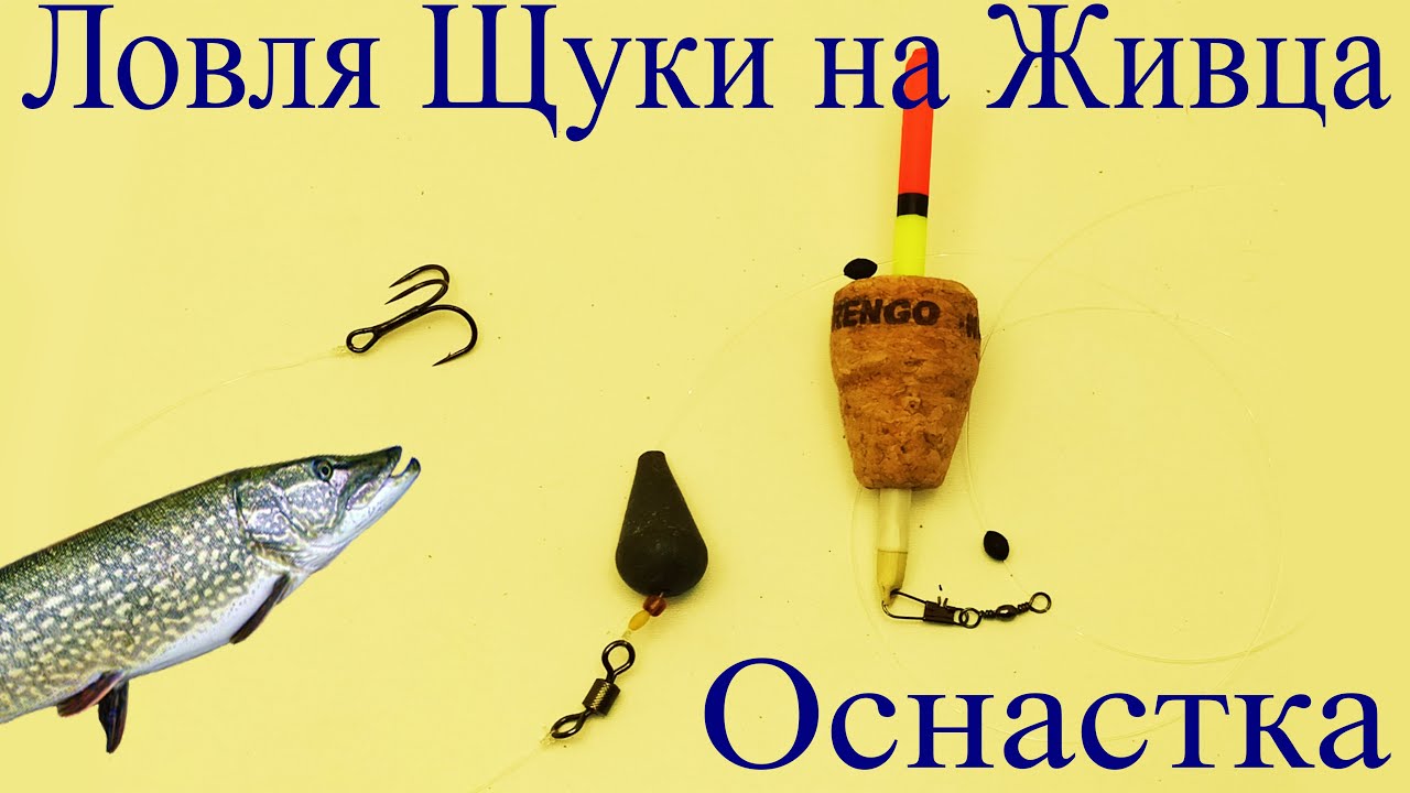 Как ловить щуку на живца. Osnastka udocki dlia lovli scuki na ZYVCA. Поплавочная снасть на живца. Оснастка на щуку на живца. Оснастка для ловли щуки на живца.