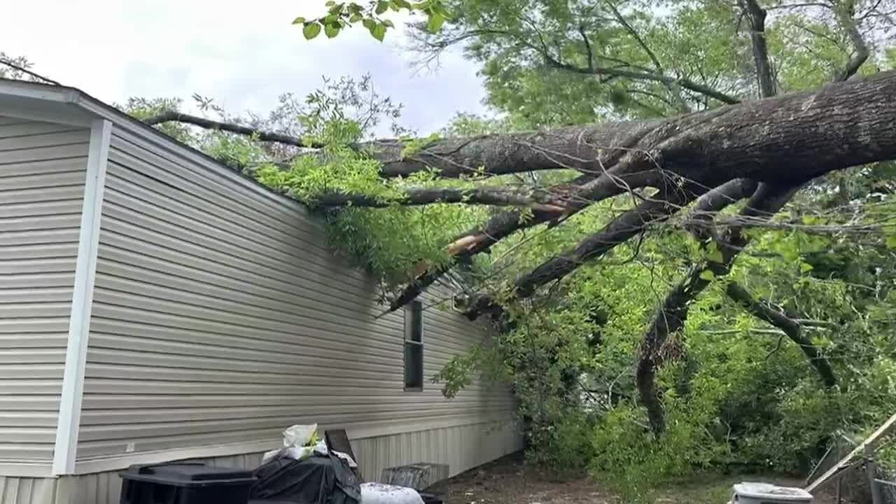 2 people pulled to safety after tree falls on mobile home - YouTube