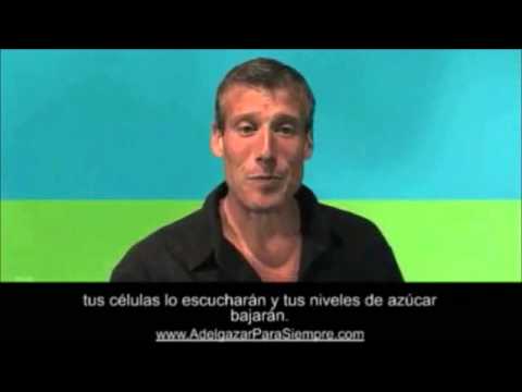 Diabetes, Insulina y Sobrepeso. El Porqué de la Diabetes y sus consecuencias curare
