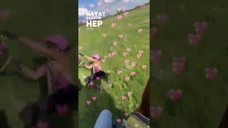 #atbinme #horse #atlar #binicilik #doğayürüyüşü #safari #düşüş #dörtnal