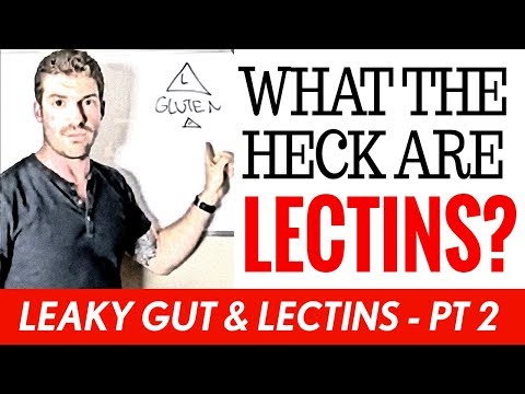 what-are-lectins-&-why-are-they-bad?-|-leaky-gut-&-lectins-|-pt-2
