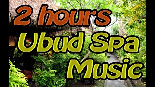 Ubud Bali Spa  Relaxing Massage   2 Hours