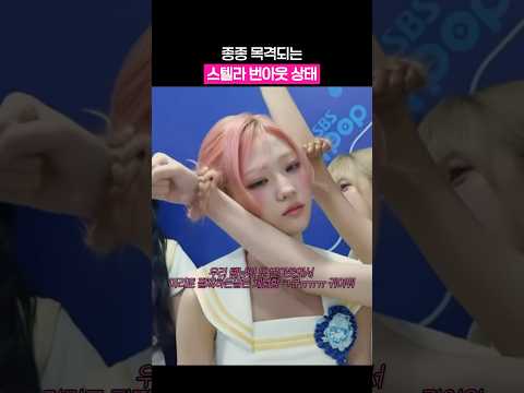 스텔라 또 전원꺼졌네 thumbnail