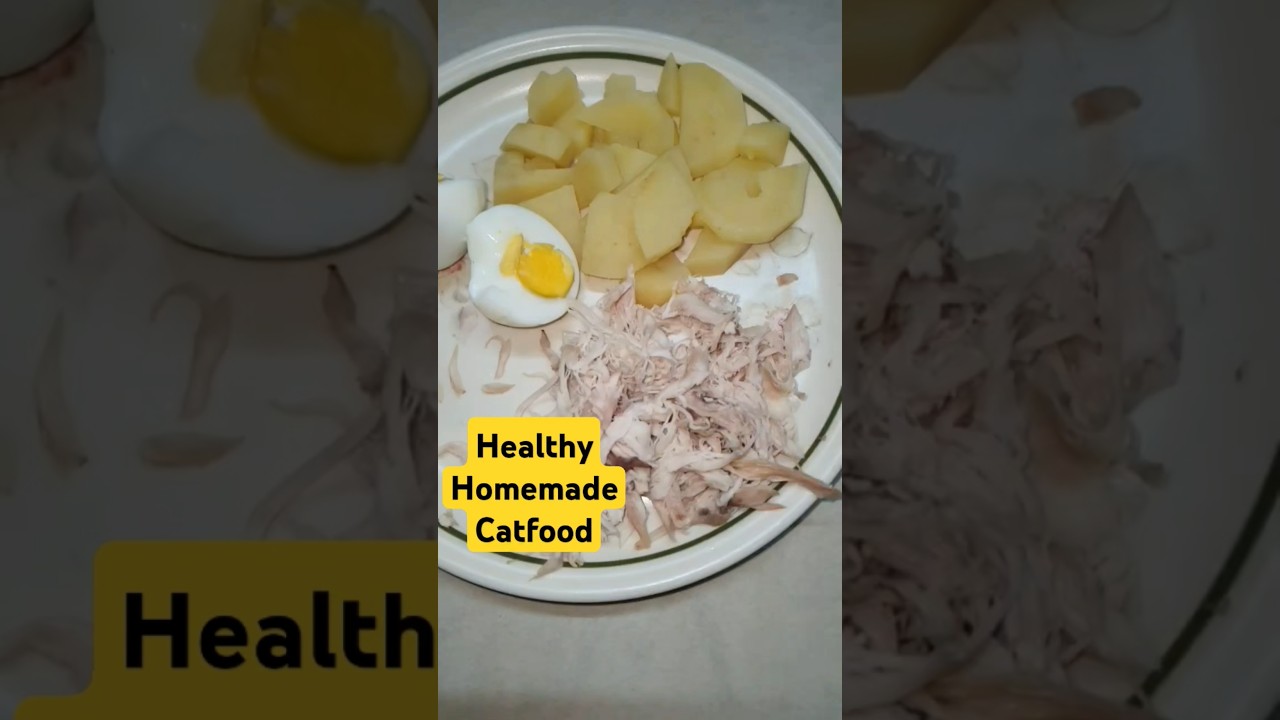 Healthy Homemade Catfood