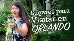 Lugares para visitar en Orlando FL que no son parques!!!